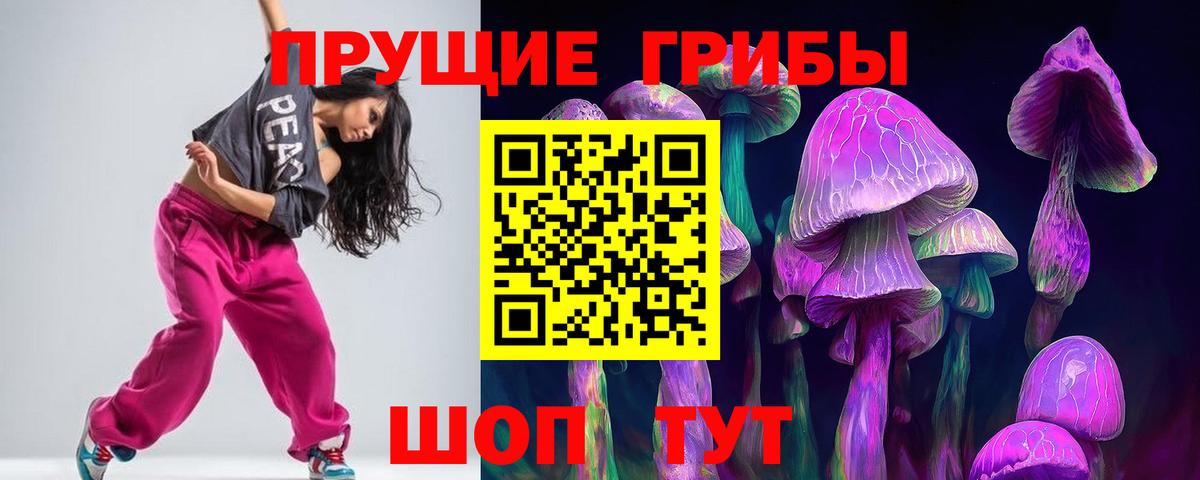 Дзержинск  Псилоцибиновые грибы Cubensis  наркотики  Вход с VPN  Псилоцибиновые грибы Psilocybine cubensis 